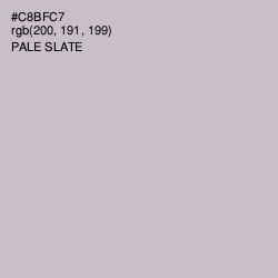 #C8BFC7 - Pale Slate Color Image